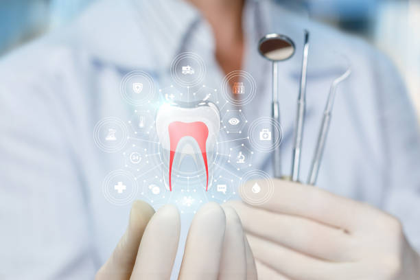 Professional Dental Services in Fort Lewis, WA